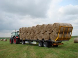 Ballentransportwagen zum Frühbezugspreis - verschiedene Modelle