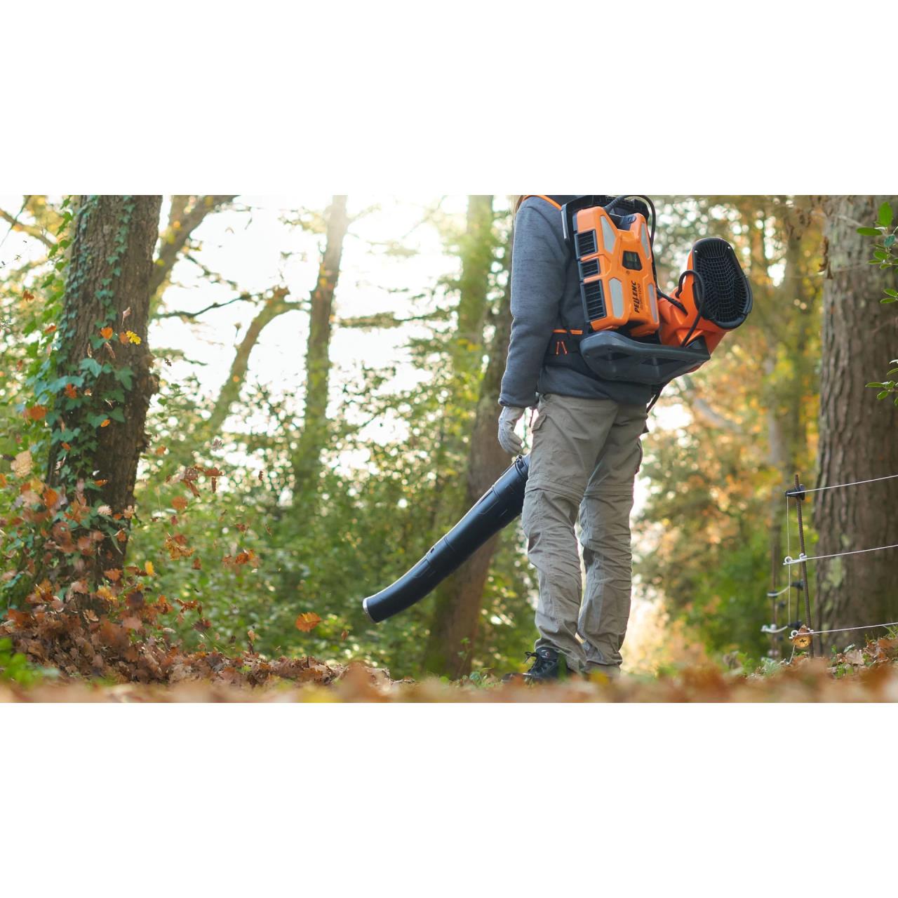 100007838 Paket Airion BP mit ALPHA 520